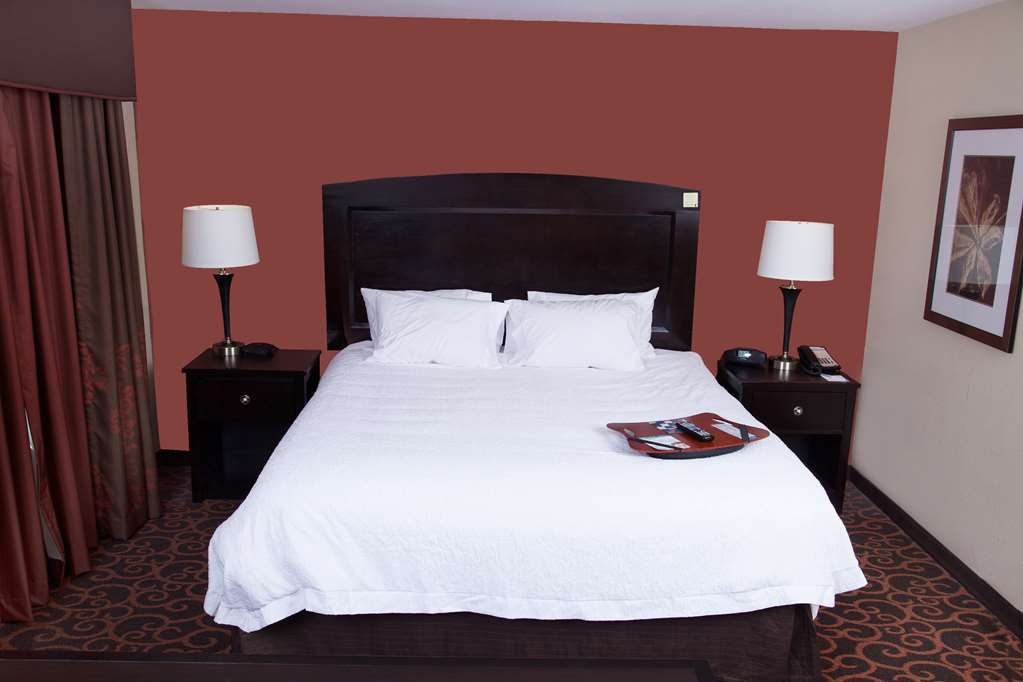 Hampton Inn & Suites Dickinson - thumb 6