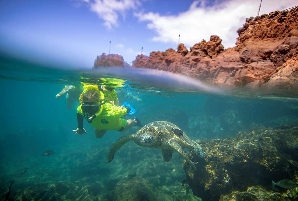 Kaanapali Beach Hotel - thumb 4