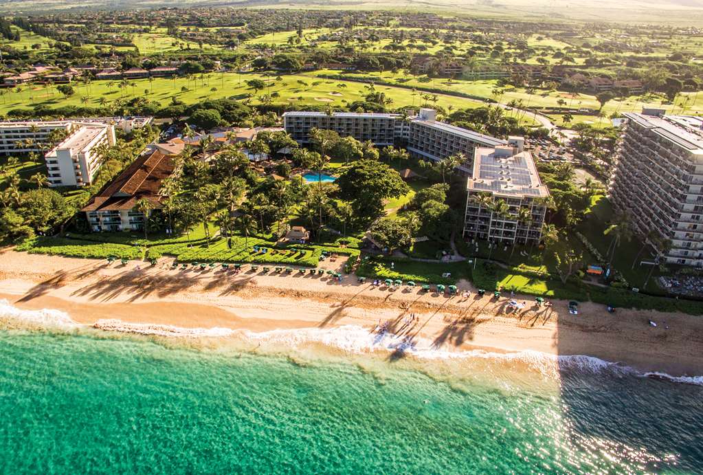 Kaanapali Beach Hotel - thumb 13