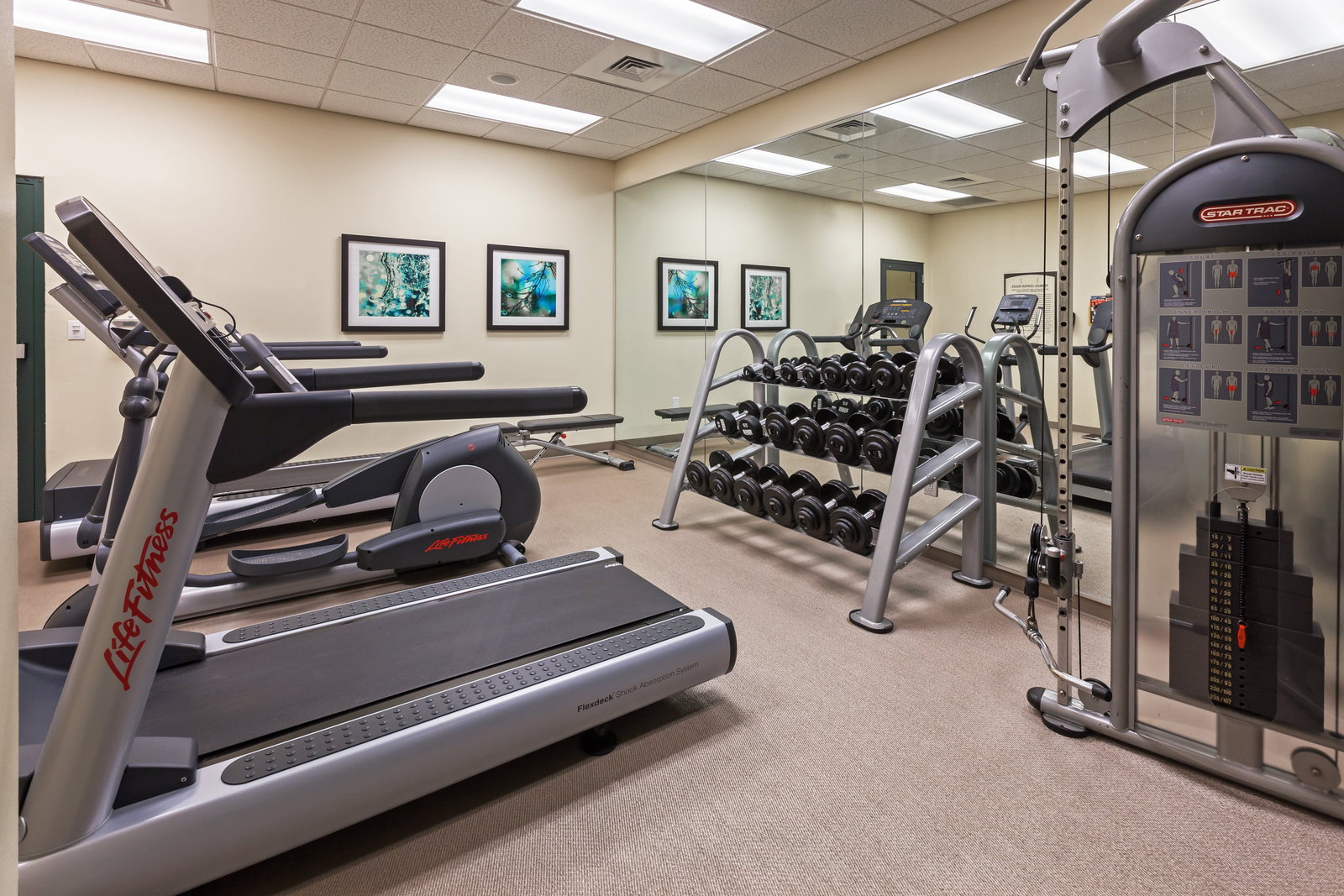 Staybridge Suites - thumb 15