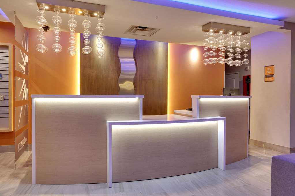 La Quinta Inn & Suites Dallas Love Field - thumb 4