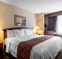 Quality Inn Hotel - Accommodation Philadelphia