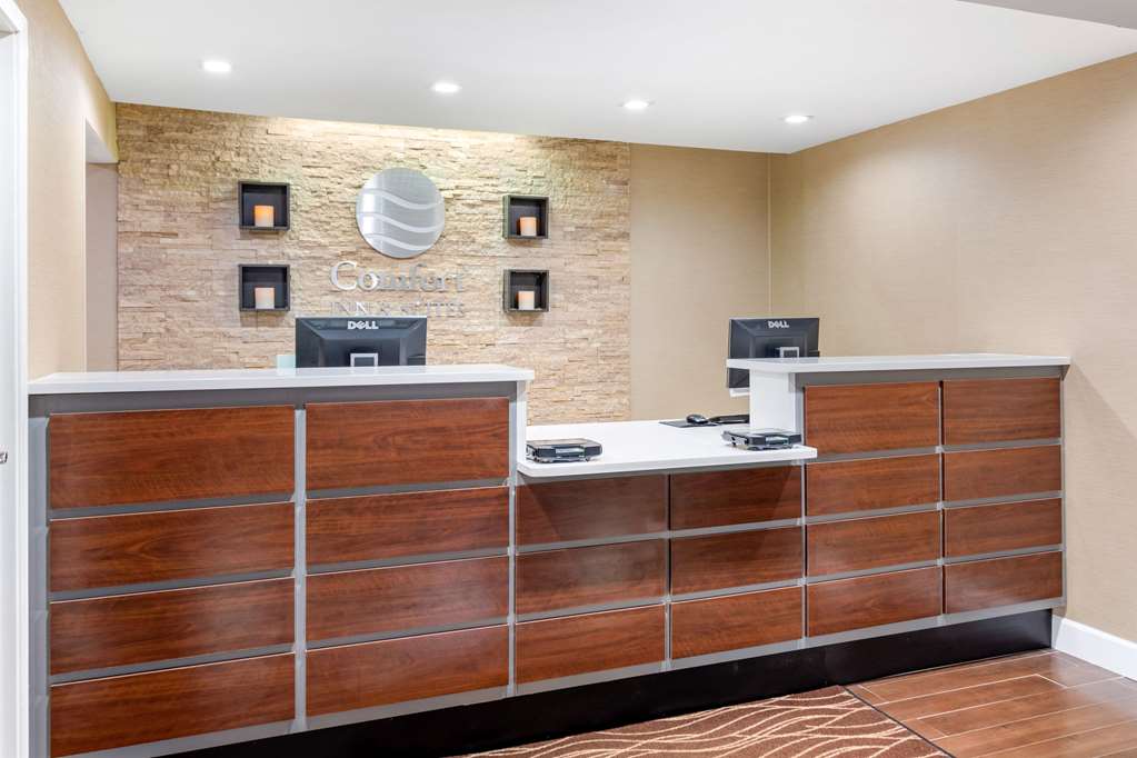 Comfort Inn & Suites - thumb 4