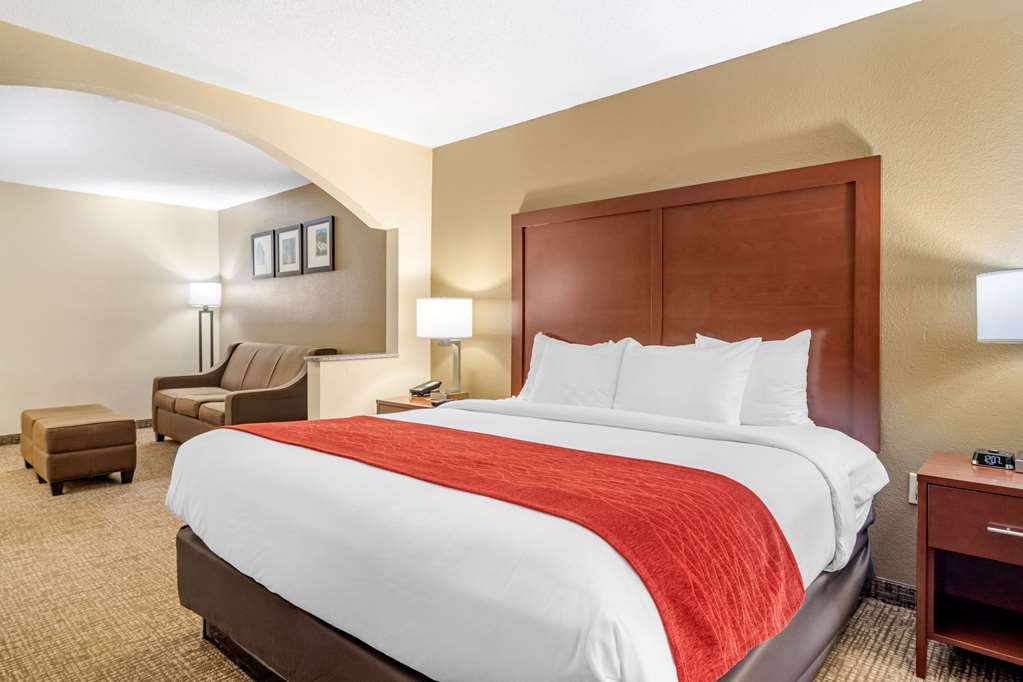 Comfort Inn & Suites - thumb 14