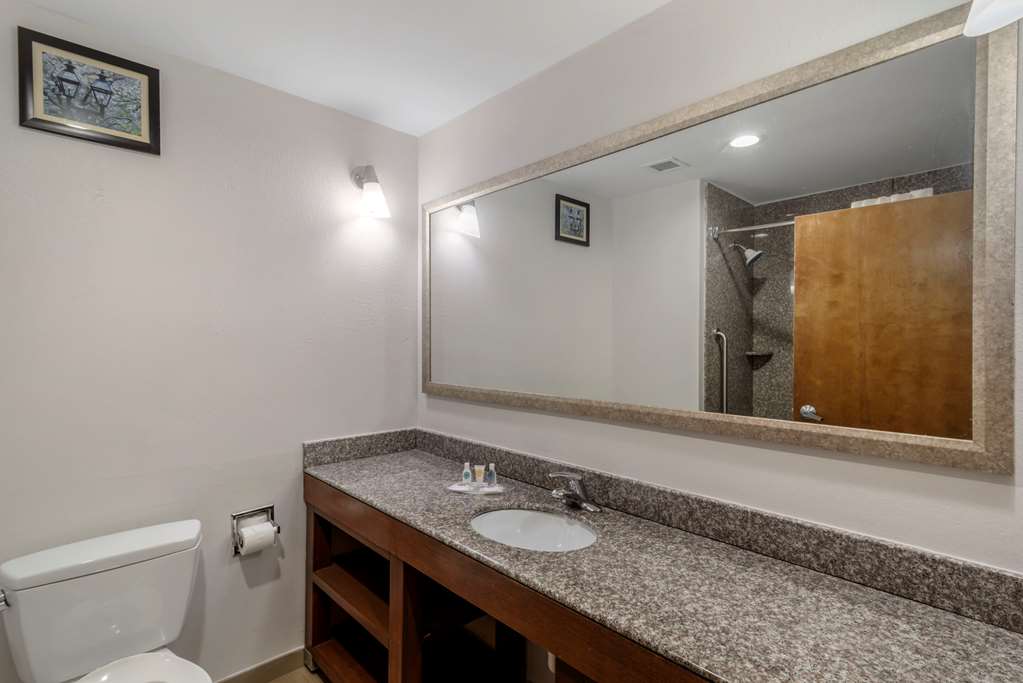 Comfort Suites Macon - thumb 4