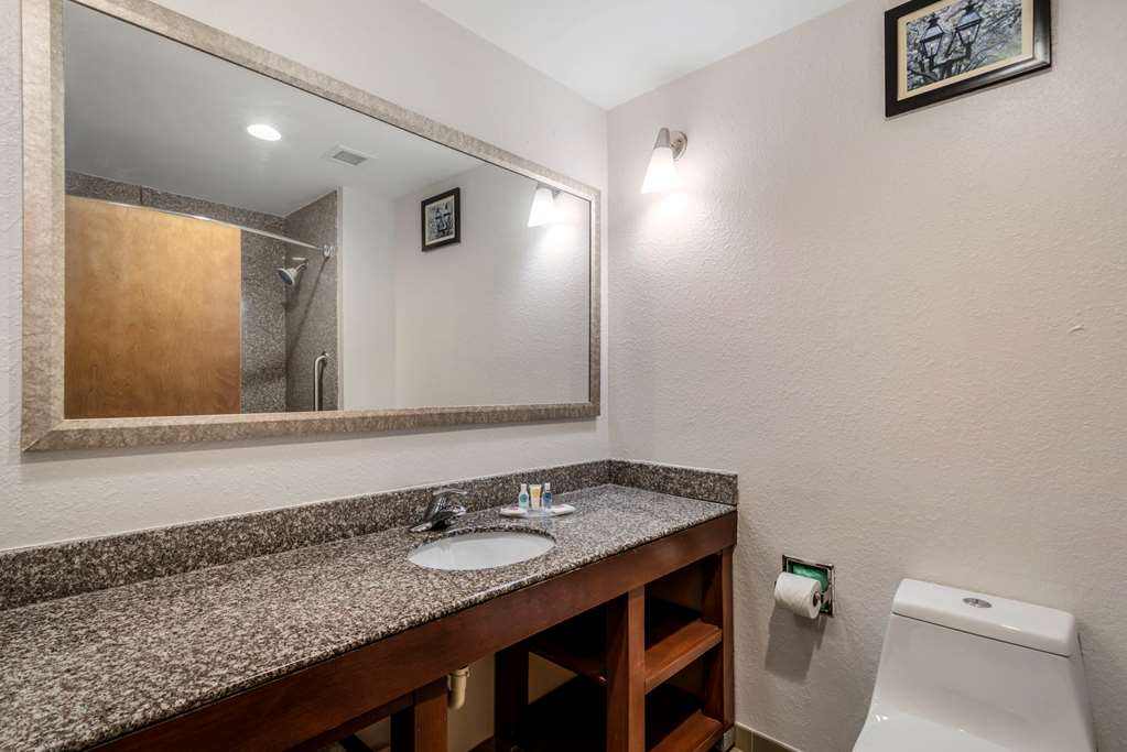 Comfort Suites Macon - thumb 5