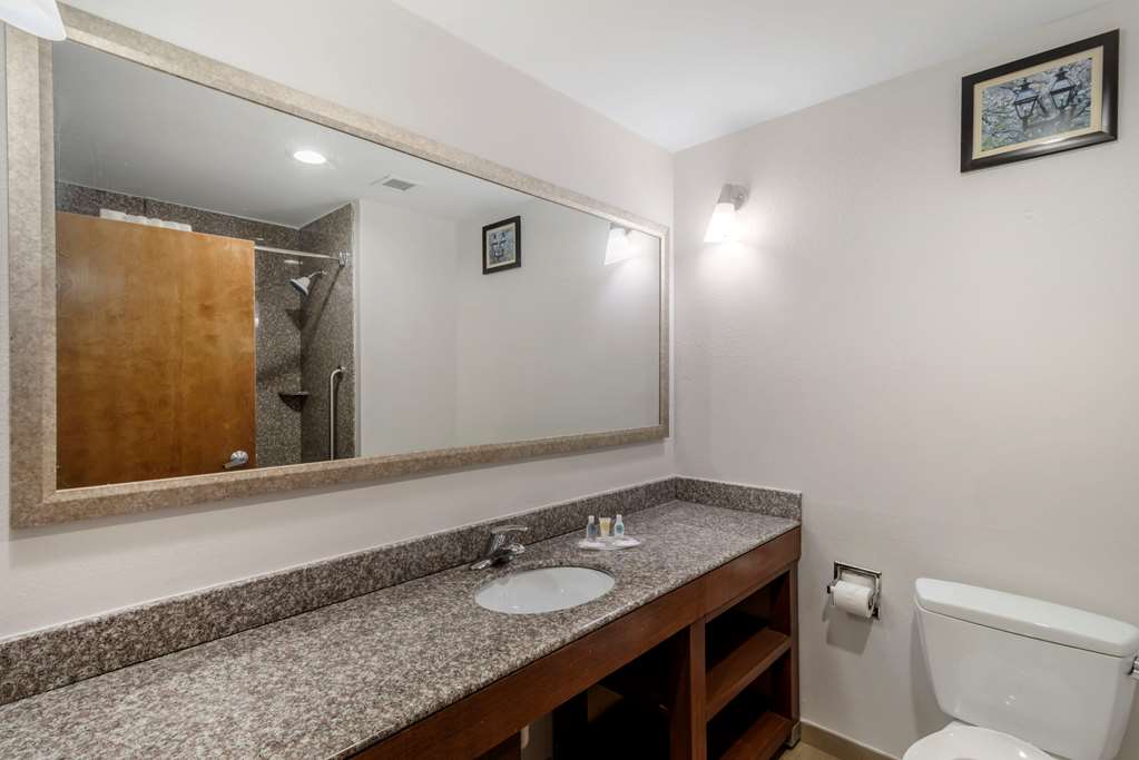 Comfort Suites Macon - thumb 6
