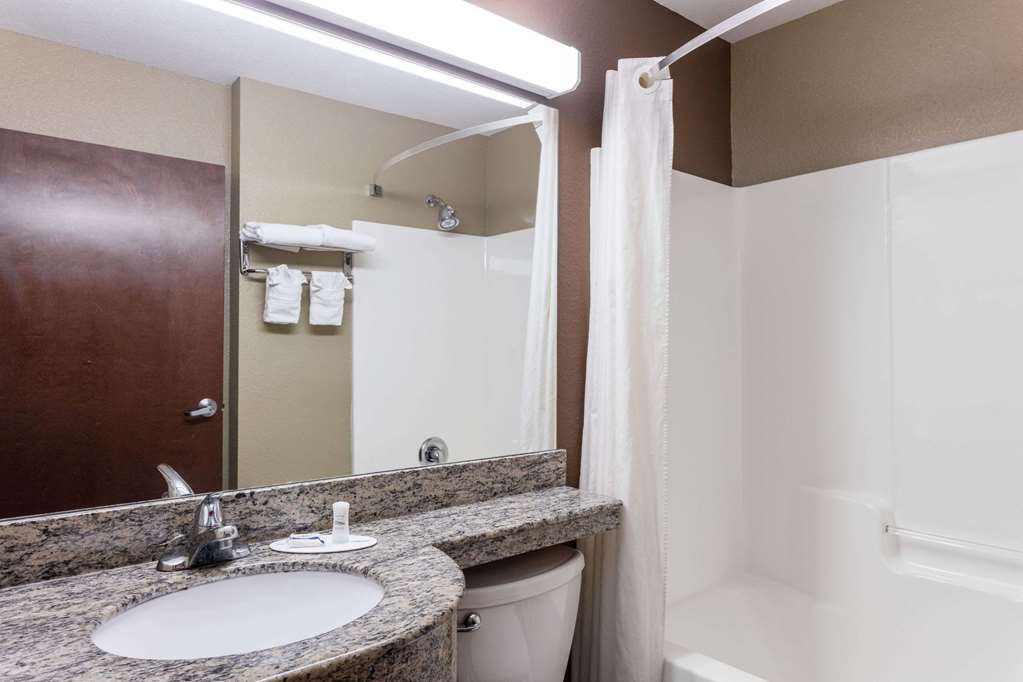 Microtel Inn & Suites By Wyndham Macon - thumb 6