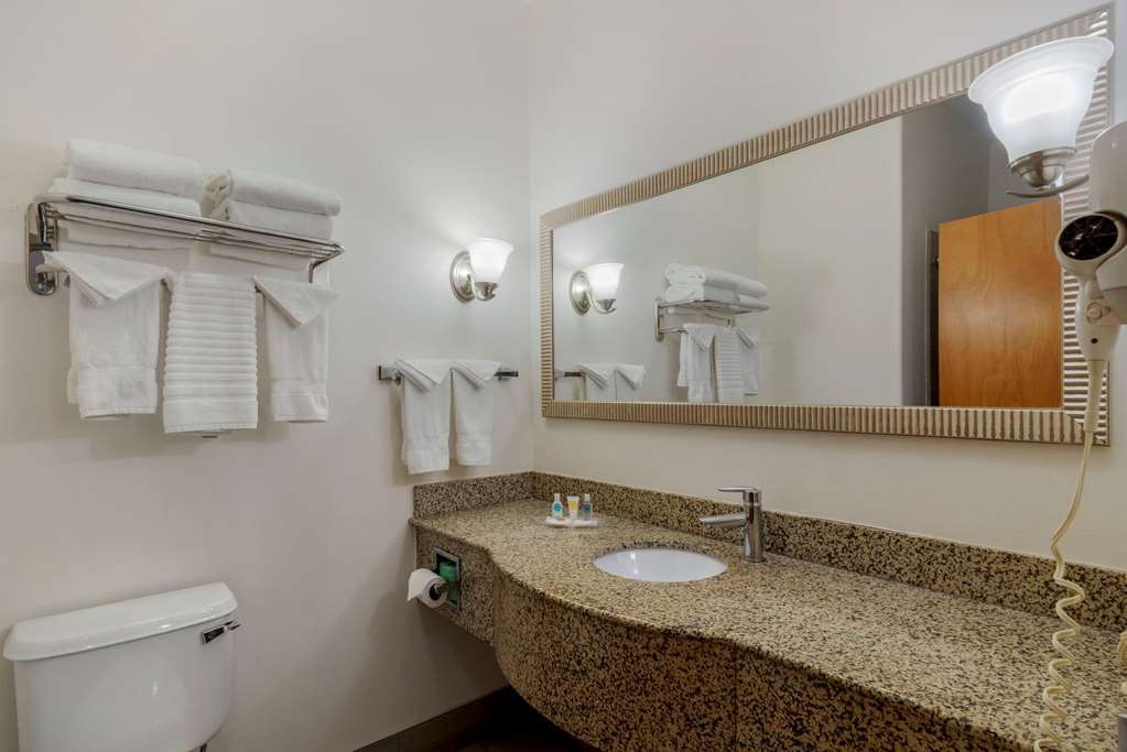 Comfort Suites Stockbridge - thumb 6