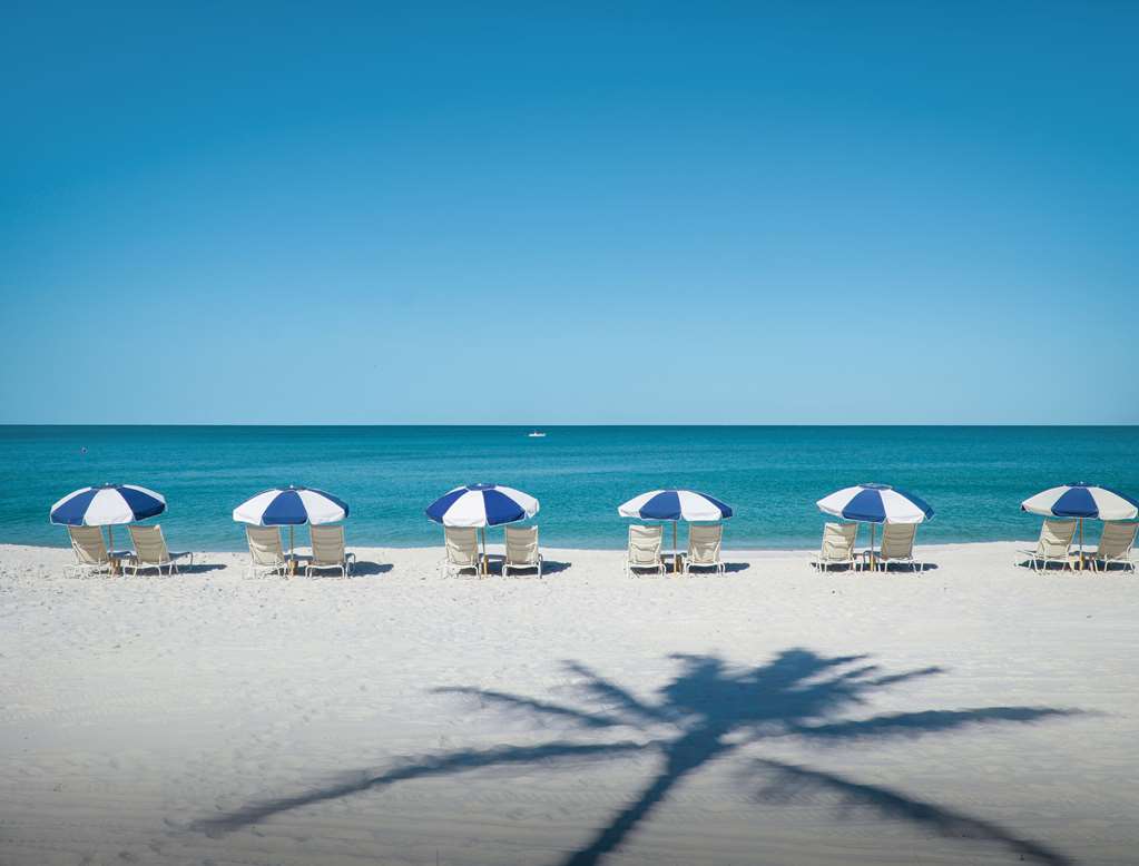 LaPlaya Beach & Golf Resort - thumb 14