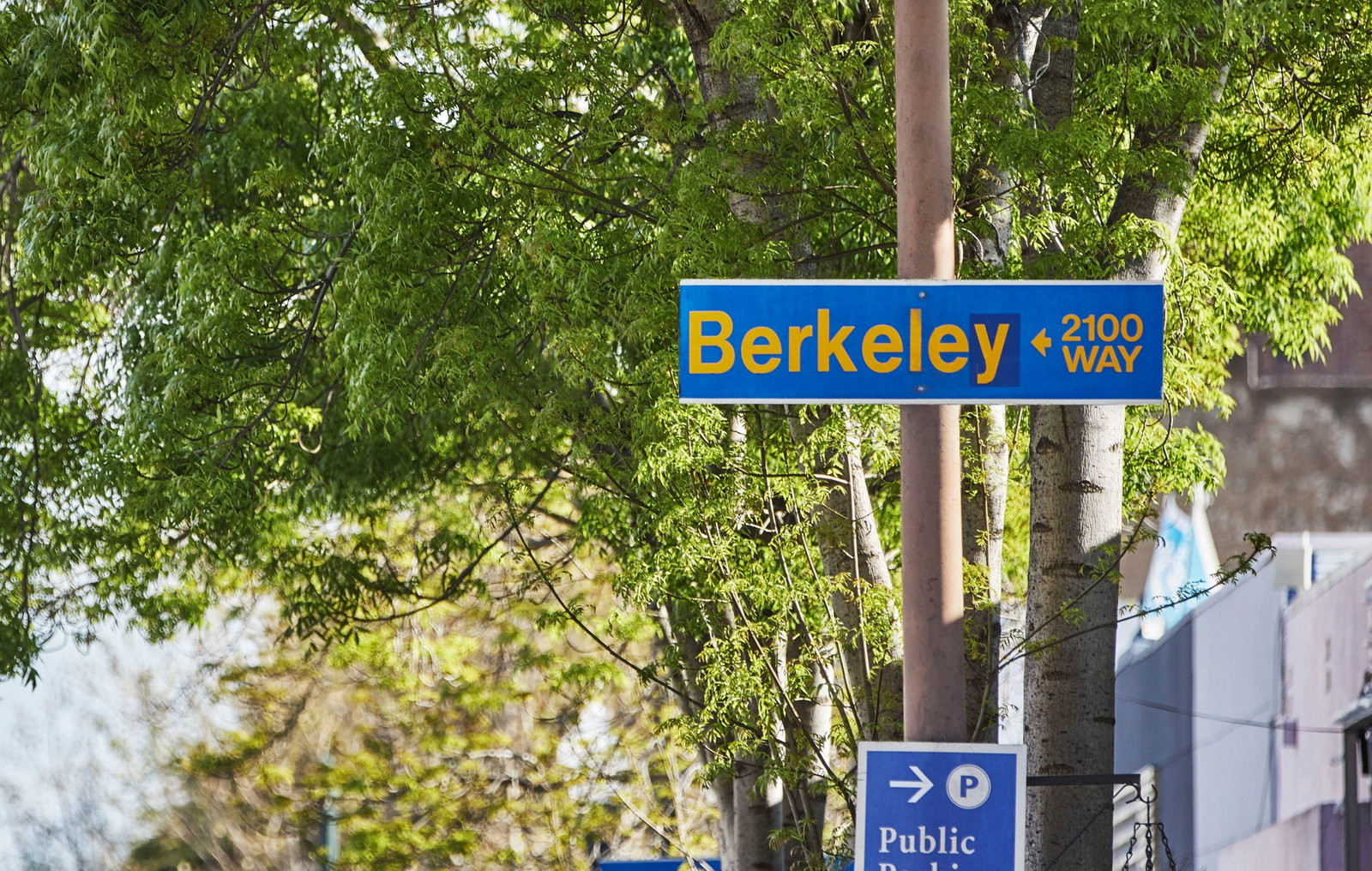 Graduate Berkeley - thumb 16