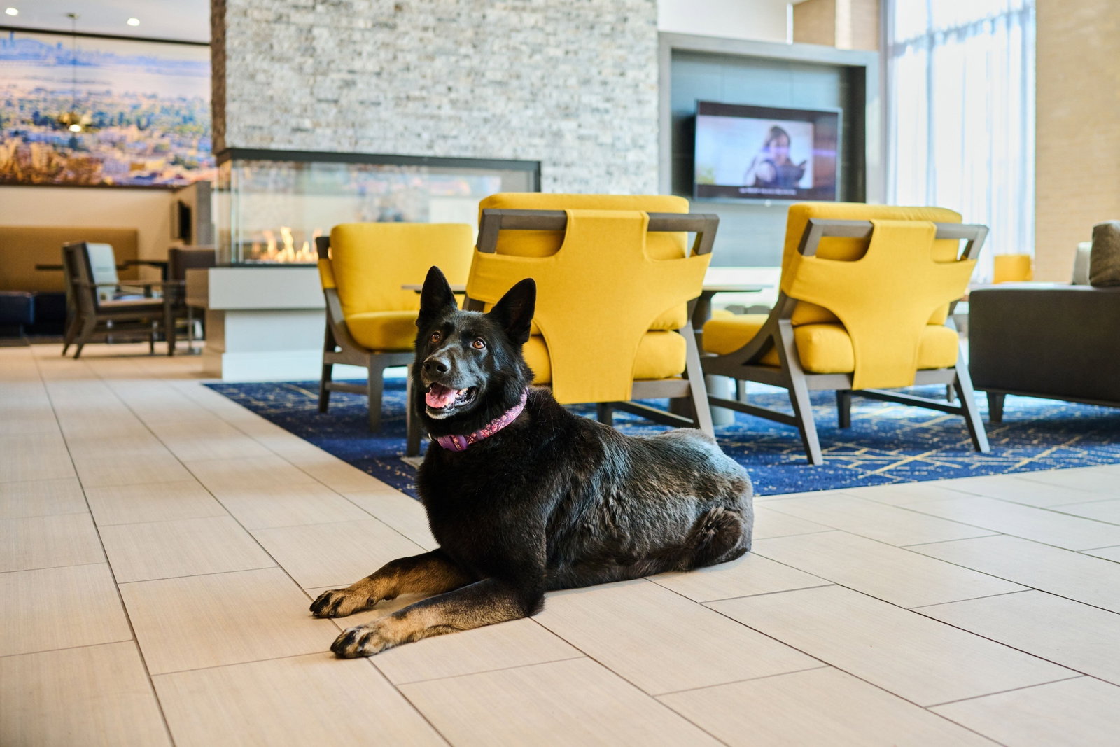 Residence Inn By Marriott Berkeley - thumb 16