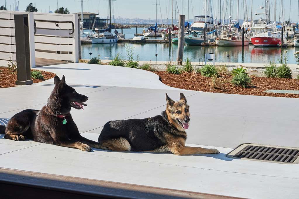 Doubletree By Hilton Berkeley Marina - thumb 2