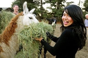 SCP Mendocino Inn And Farm - thumb 6