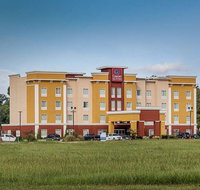 Comfort Suites Gonzales - Accommodation Philadelphia