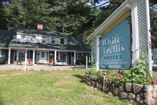 White Trellis Motel - thumb 0