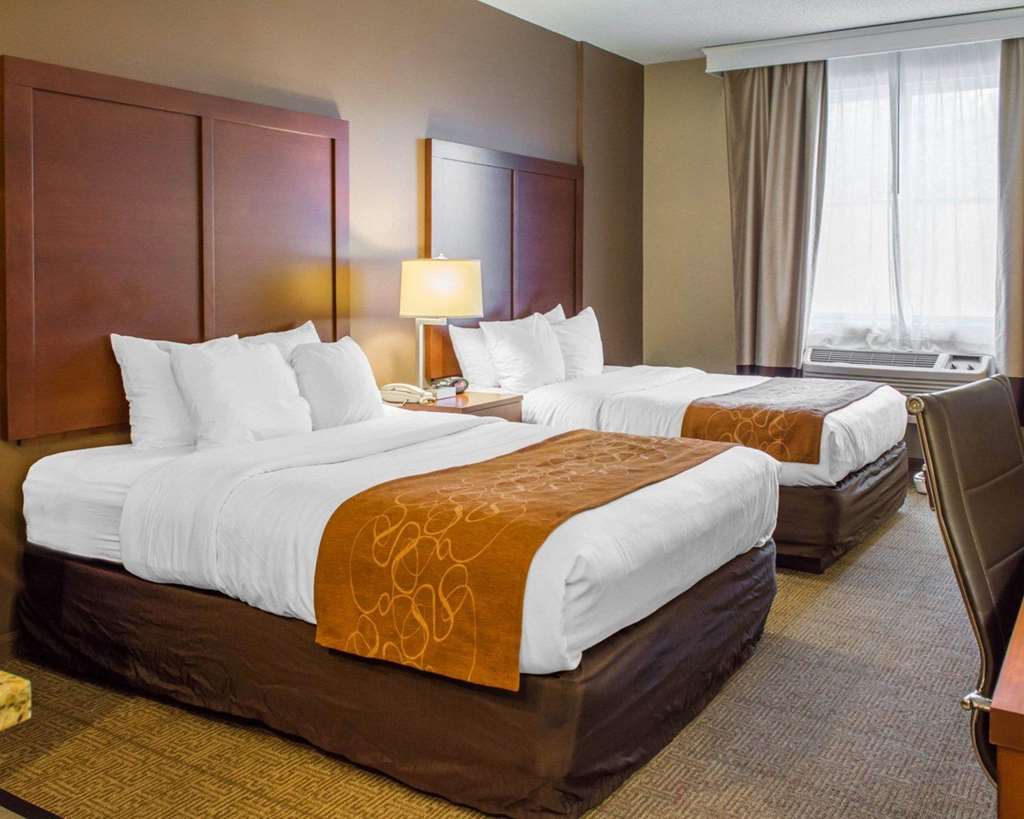 Comfort Suites Waldorf - thumb 4