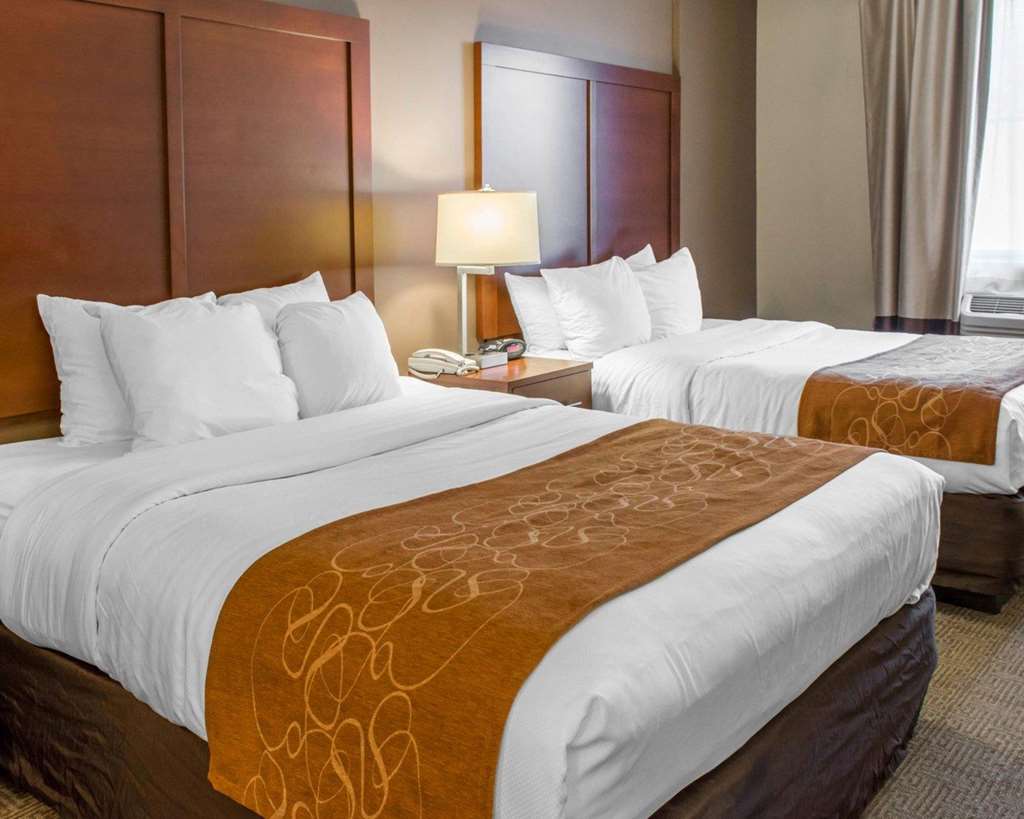 Comfort Suites Waldorf - thumb 5