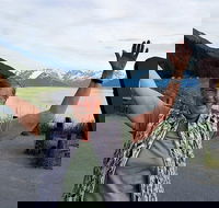 Wilderness Wildlife Glacier Experience from Anchorage - Accommodation Philadelphia