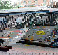 Boston Hop-On Hop-Off Trolley Tour with Harbor Cruise Option - Accommodation Philadelphia
