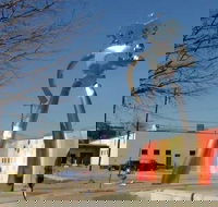 Small-Group Dallas City Highlights Tour by Minivan - Accommodation Philadelphia