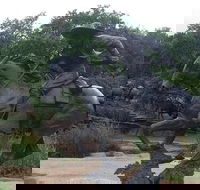 Create Your Own Dallas and Fort Worth Combination Tour - Accommodation Philadelphia