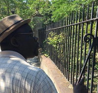 Lost Stories of Black Charleston Walking Tour - Accommodation Philadelphia