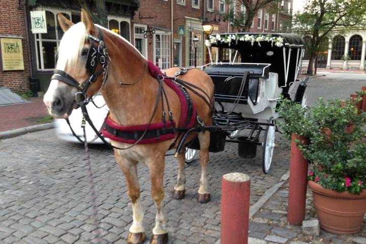 Philadelphia Horse Drawn Carriage Tour - thumb 1