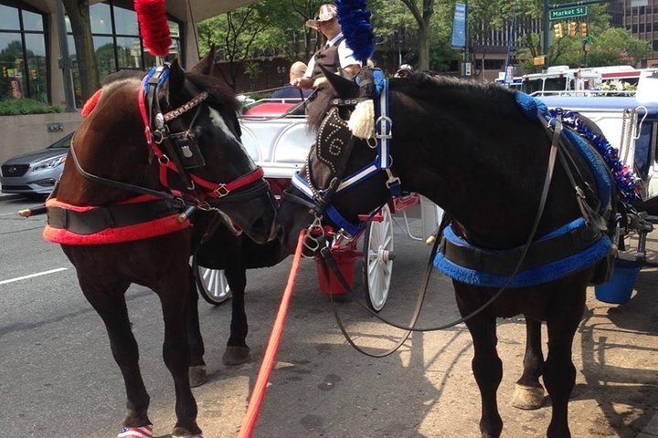 Philadelphia Horse Drawn Carriage Tour - thumb 4