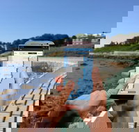 Newport Cliff Walk Self-Guided Walking Tour - Accommodation Philadelphia