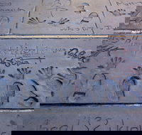 Hollywood Celebrity Homes Tour - Accommodation Philadelphia