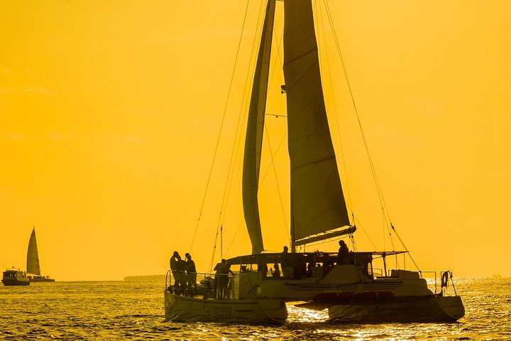 Key West Dolphin Watch Sunset Sail With Premium Wine, And Tapas Pairings - thumb 4