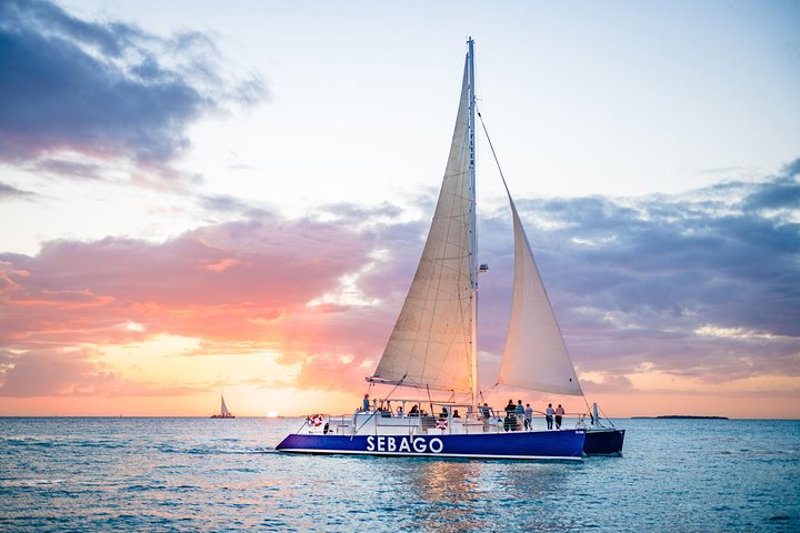 Key West Dolphin Watch Sunset Sail With Premium Wine, And Tapas Pairings - thumb 5