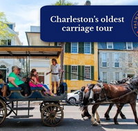 Evening Horse-Drawn Carriage Tour of Downtown Charleston - Accommodation Philadelphia