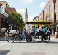 Daytime Horse-Drawn Carriage Sightseeing Tour of Historic Charleston - Accommodation Philadelphia