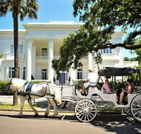 Private Daytime or Evening Horse-Drawn Carriage Tour of Historic Charleston - Accommodation Philadelphia