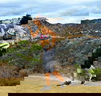 Griffith Observatory Hike Hollywood Hills Walk in Griffith Park - Accommodation Philadelphia