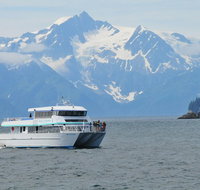 Northwestern Fjord Sightseeing Cruise from Seward - Accommodation Philadelphia