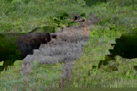 Atmautluak Ak Accommodation Philadelphia