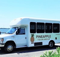 Charleston City Sightseeing Bus Tour - Accommodation Philadelphia