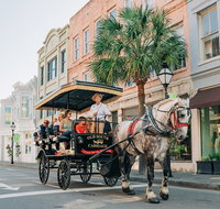 Charlestons Old South Carriage Historic Horse  Carriage Tour - Accommodation Philadelphia