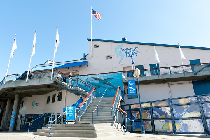 Aquarium Of The Bay General Admission Ticket - thumb 5