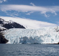 Full-Day Kenai Fjords National Park Cruise - Accommodation Philadelphia