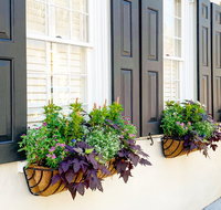 Private Historic Carriage Tour of Charleston - Accommodation Philadelphia