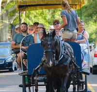 Historic Carriage Tour of Charleston - Accommodation Philadelphia
