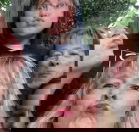 Participate in a Fun Scavenger Hunt in Little Rock by Zombie Scavengers - Accommodation Philadelphia