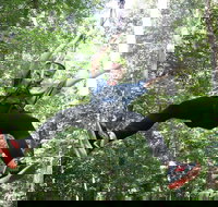 10 Zip Line Zip Tour 1.5 hours - Accommodation Philadelphia