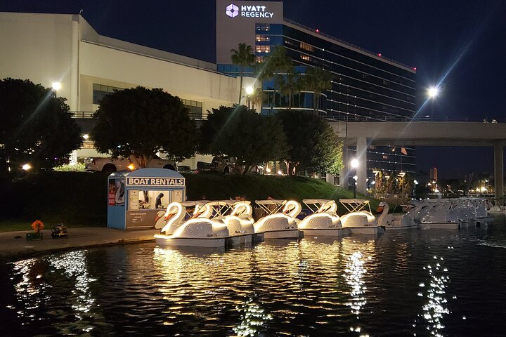 Illuminated Swan Boat Night Ride On Rainbow Lagoon - thumb 0