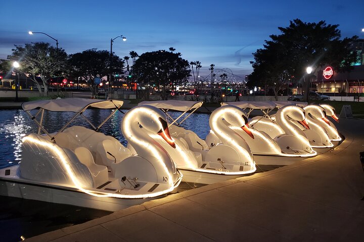 Illuminated Swan Boat Night Ride On Rainbow Lagoon - thumb 3