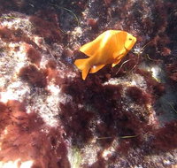All Day Snorkel Package Rental - Accommodation Philadelphia